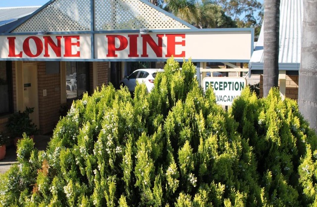 Lone Pine Motel