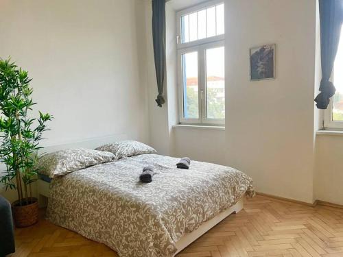 Long Stays - Cozy - Studio