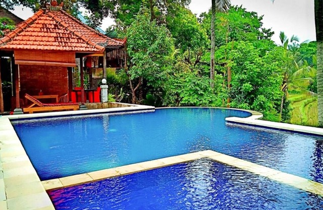 Lotus Guesthouse Sudaji: a natural and unique place in the North Bali.