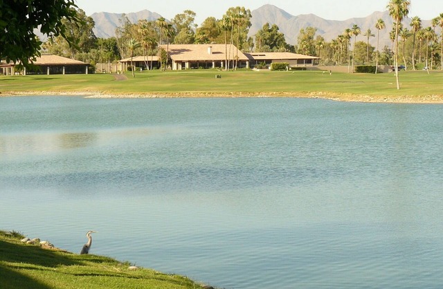 Loveliest views in Scottsdale area. Tranquil retreat in middle of everything.