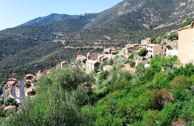 Lovely apartment for 3 people with WIFI, A/C, TV, patio, pets allowed and panoramic view