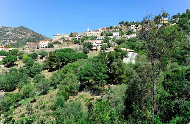 Lovely apartment for 4 people with A/C, WIFI, TV, patio, pets allowed and panoramic view
