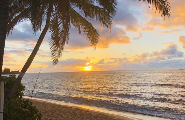 Lovely Beachfront cottage! Private Northshore Get Away!