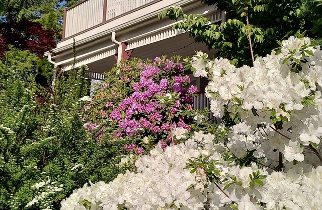 Lovely, bright 2-BR in historic Arlington