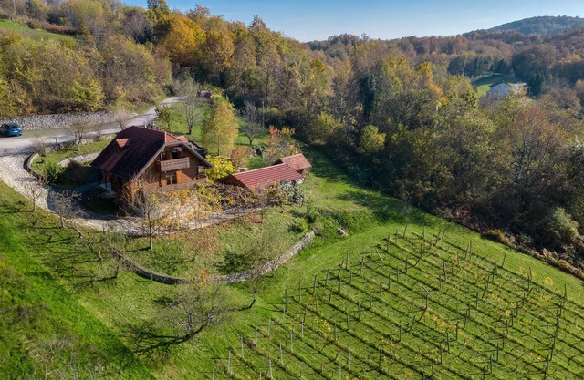 Lovely home in Veliki Vrh Kamanjski