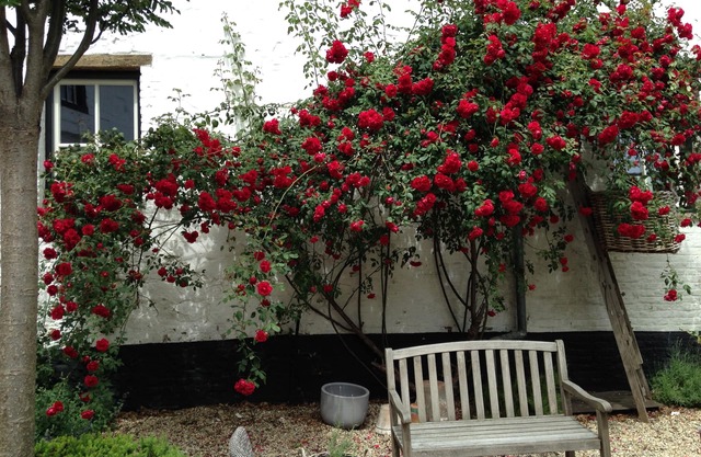 Lovely house on the edge of Maastricht and Heuvelland