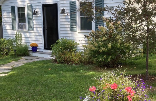 Lovely intown cottage close to college, shops, coast, in leafy, tranquil setting