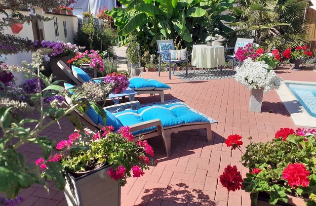 LOVELY SINGLE-STOREY GITE WITH SWIMMING POOL 15 KM FROM EUROPA PARK