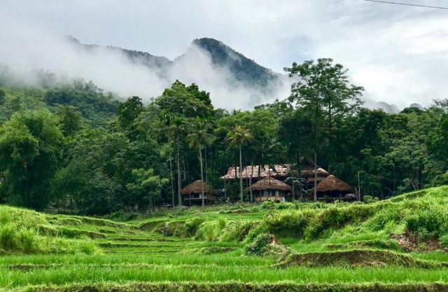 Lua Pu Luong