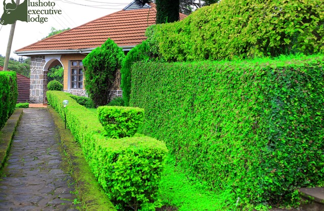 Lushoto Executive Lodge