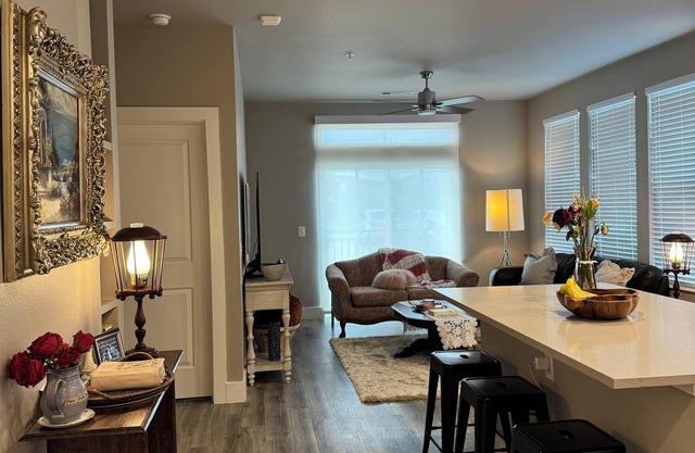 Lux College Station Apartment