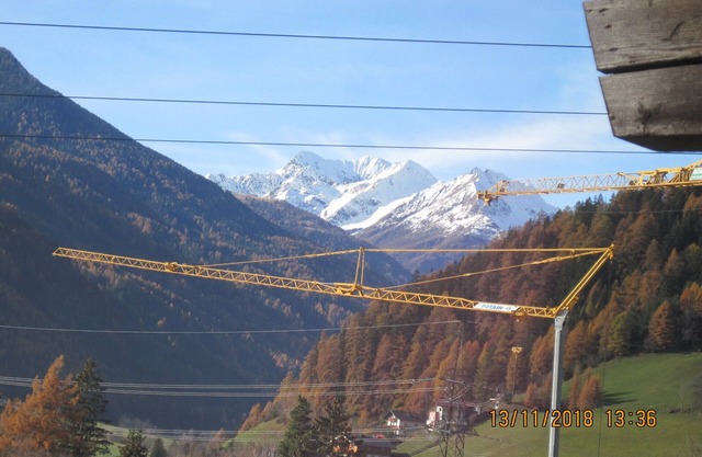 Luxurious apartment with a large garden