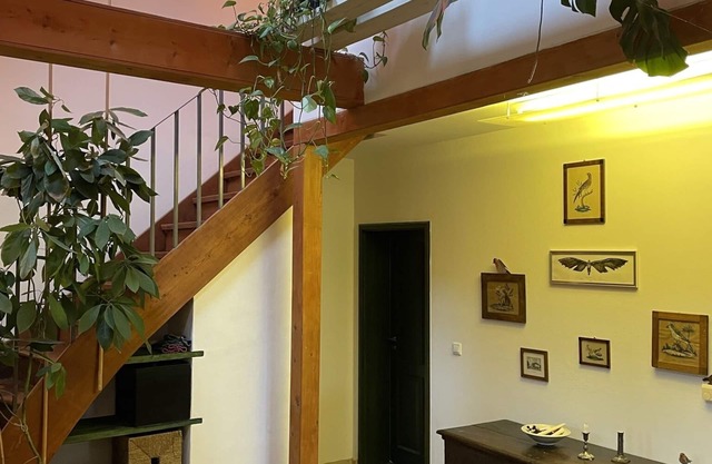 Luxurious country house with many extras in the Ruppiner Luch, up to 6 people