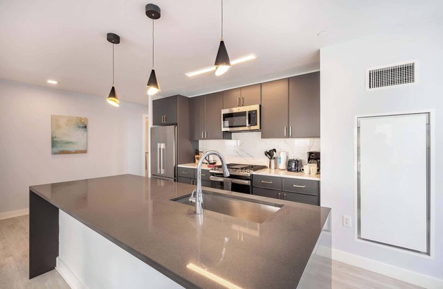 Luxury 2 BR Apt with Gym and Pool