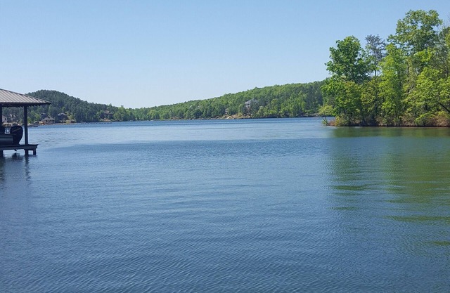 Luxury at Lake Martin I