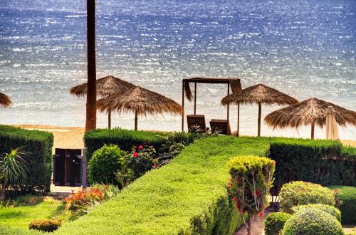 Luxury Beachfront Villa With Private Pool, Private Beach, Yoga & Sea Adventures