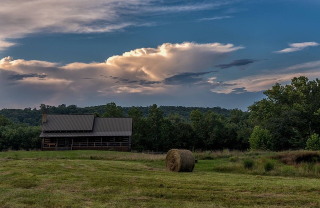 Luxury cabin next to charming goat farm sanctuary!