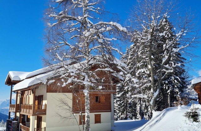 Luxury chalet apartment at the foot of the slopes at Le Cernix - Crest Voland