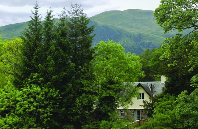 Luxury Cottage-Countryside View Orchard Cottage