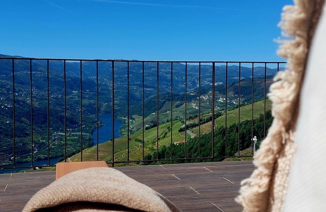 Luxury Douro Villa | Private pool, river views & BBQ Terrace