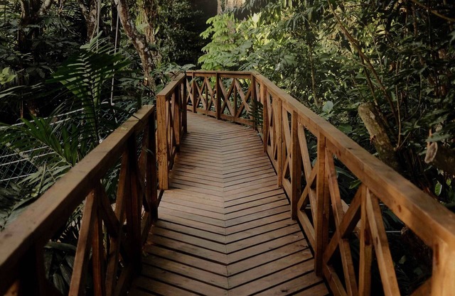 Luxury Eco Jungle View Cabana