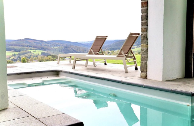 Luxury house with a swimming pool and a sauna