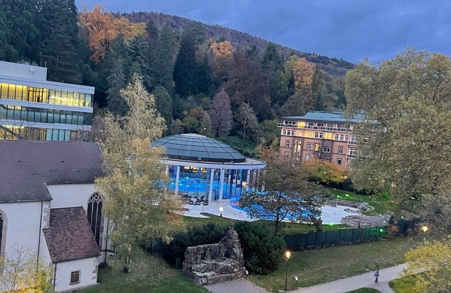 Luxury Penthouse Apartment in best location Baden-Badenn