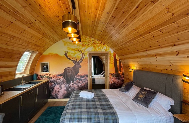 Luxury seafront glamping pod with private patio and Hydropool Jaccuzi