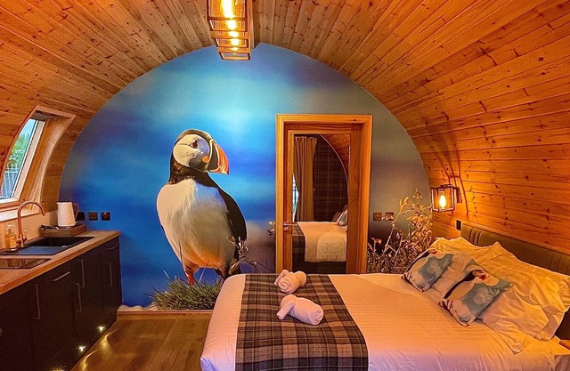 Luxury seafront glamping pod with private patio and Hydropool Jaccuzi