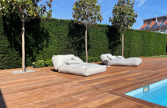 Luxury villa near Heidelberg with pool, cinema and 1300 sqm plot