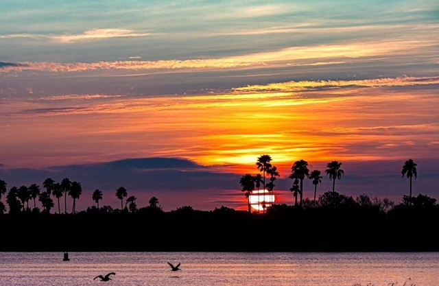 Luxury Waterfront Condo on Bouchelle Island NSB