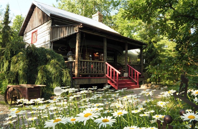 Ma & Pa's "Wild at Heart" Cabin Outdoor Bath Trail Firepit Parks & Wineries