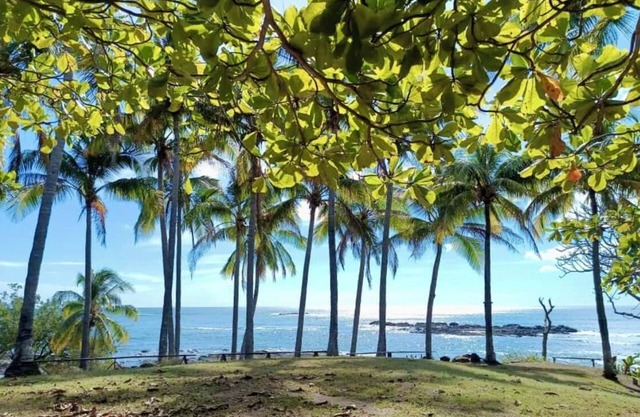 Magic place with ocean view & direct beach access - A wood house in paradise