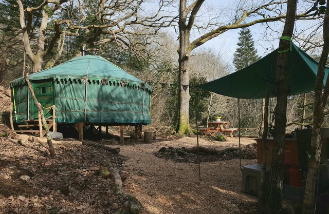 Magical Woodland Yurt with stunning mountain and estuary views