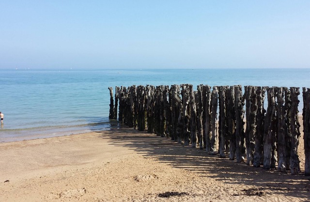 Magnificent sea view for this T3 special offer from 11/10/25 to 18/10/25 +parking
