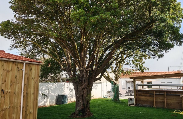 Maison 6 Personnes 50 m Port de la Cotinière, Jardin Ombragé et Clos