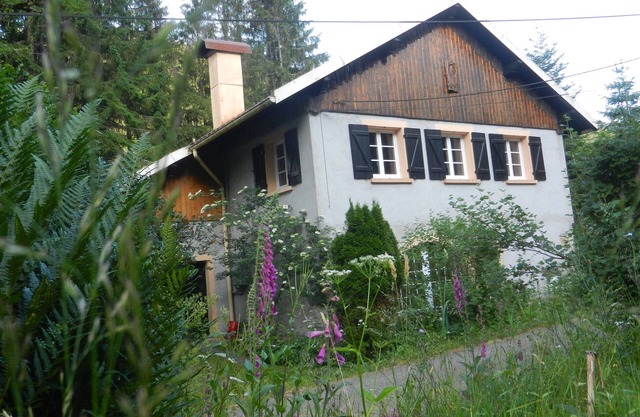 Maison en Pleine Nature 6km de Gérardmer