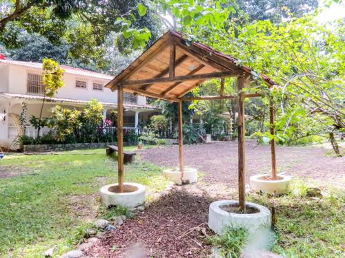 Mango Selva Bio Hotel