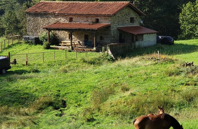 Marga cabin, comfort in the middle of nature, without missing anything.