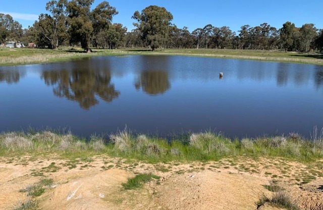 Mariam Farm stay next to Hume Highway