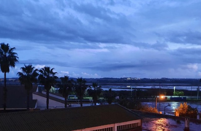 MARISMAS DEL TINTO