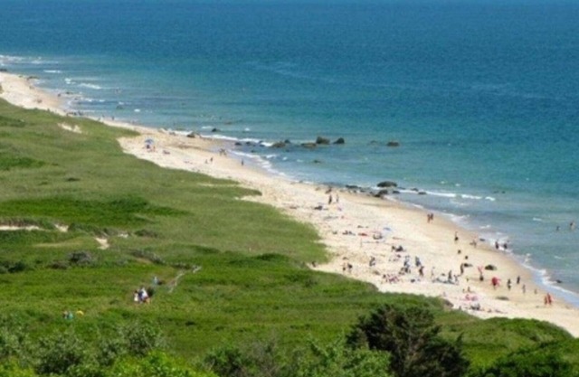 Martha's Vineyard Cozy Getaway Near Picturesque Philbin Beach