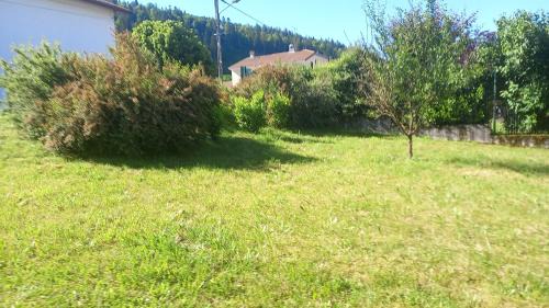 Martignat Les Chats