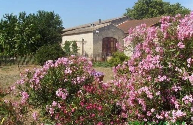 Mas agriculture in Petite Camargue quiet Proximity Sea, 5 per