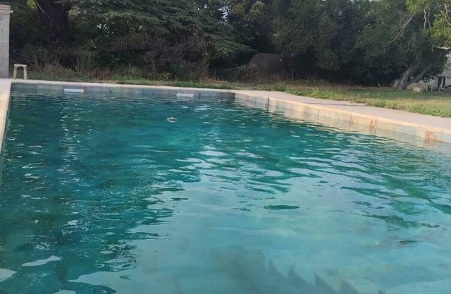 Mas Provençal à 10 Minutes de Nîmes. Animaux de Compagnie Acceptés !