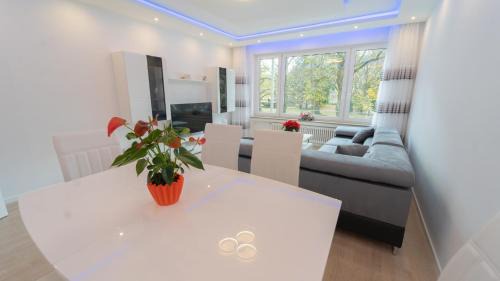 Mega Lux Apartment