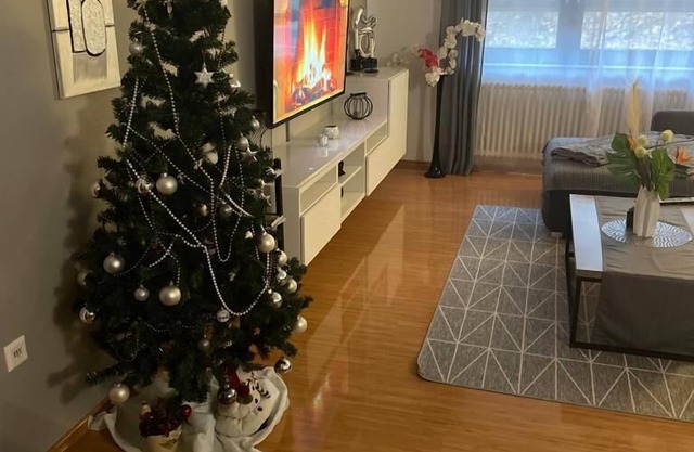 MH City Apartment Baden-Baden/Апартамент Баден-Баден
