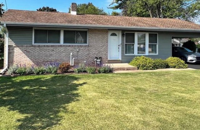 Mid-century Modern Beauty