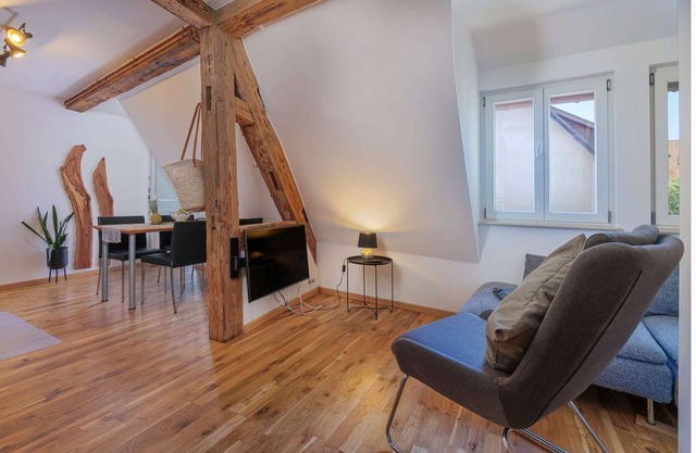 Modern Apartment with lift up, for 4 pers, 1 bedroom, 1 couch, historical building