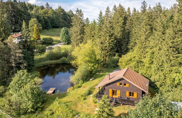 Modern chalet with fireplace and pets welcome near Gérardmer
